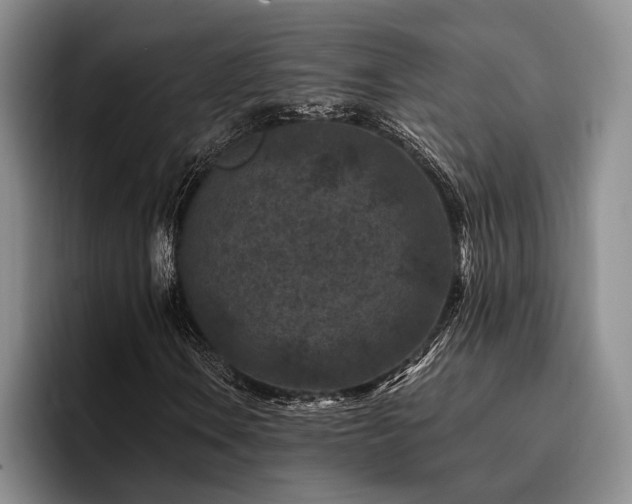 X0000096131106200801181107