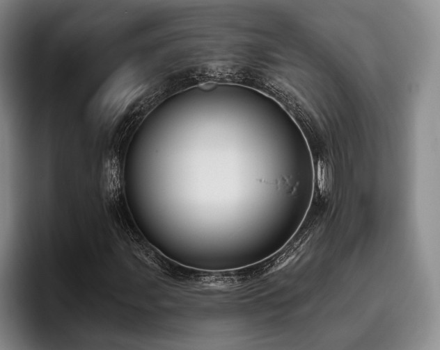 X0000096131107200801181107