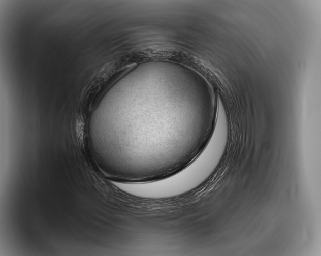 X0000096131108200801181107