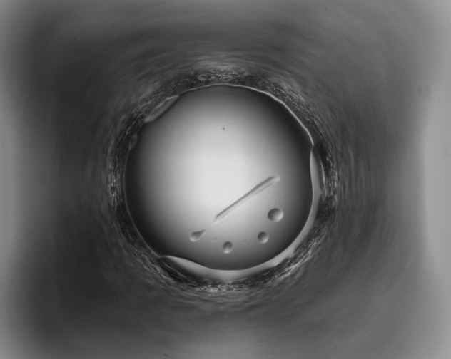 X0000096131109200801181107