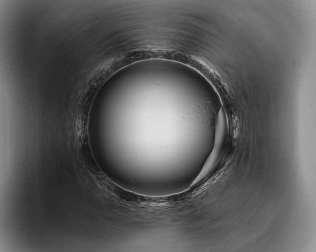 X0000096131110200801181107