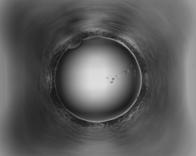 X0000096131111200801181107