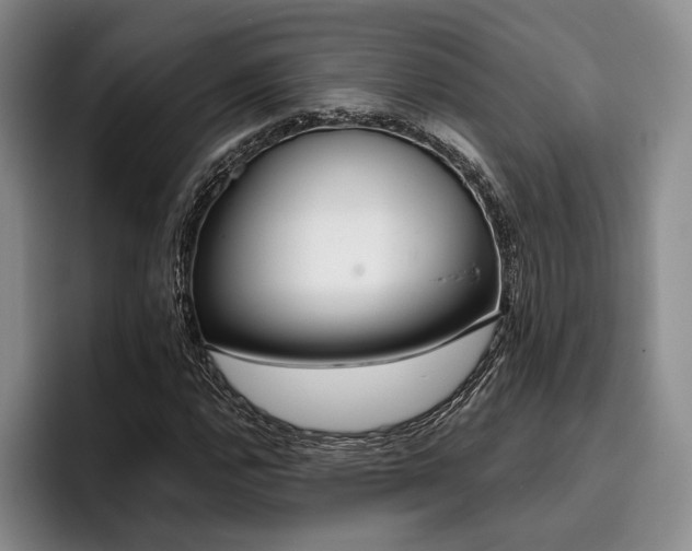 X0000096131112200801181107