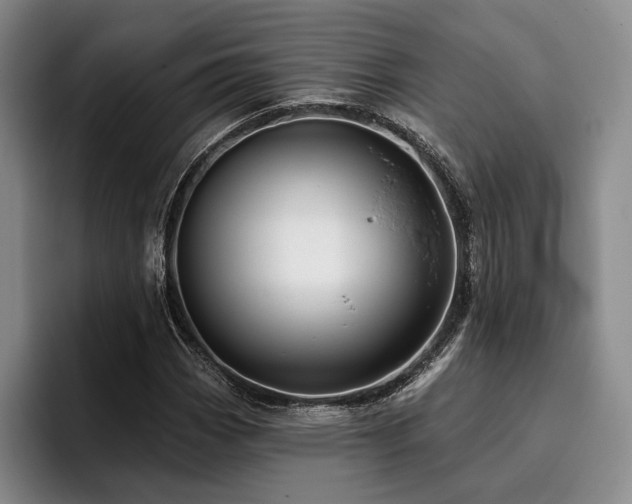 X0000096131113200801181107