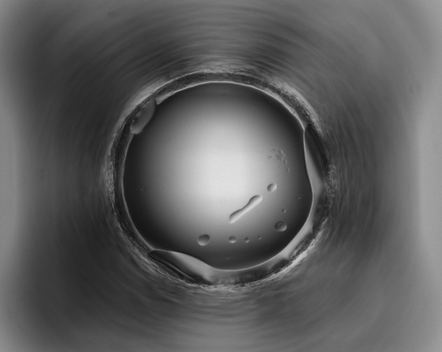 X0000096131114200801181107
