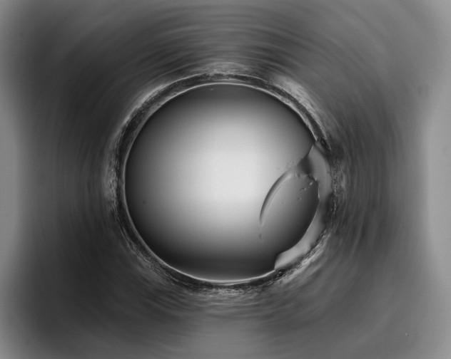 X0000096131115200801181107