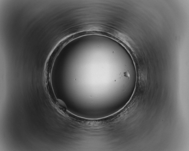 X0000096131116200801181107
