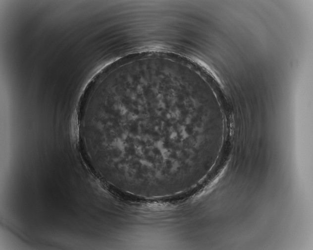 X0000096131117200801181107
