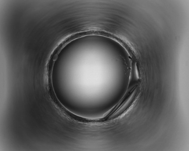 X0000096131118200801181107