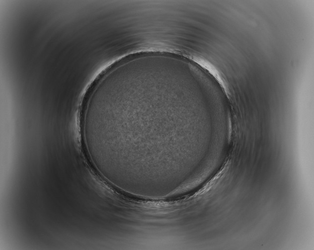 X0000096131120200801181107