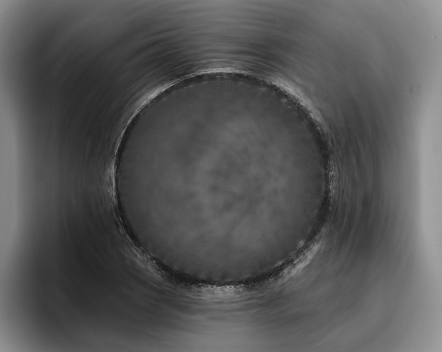 X0000096131121200801181107