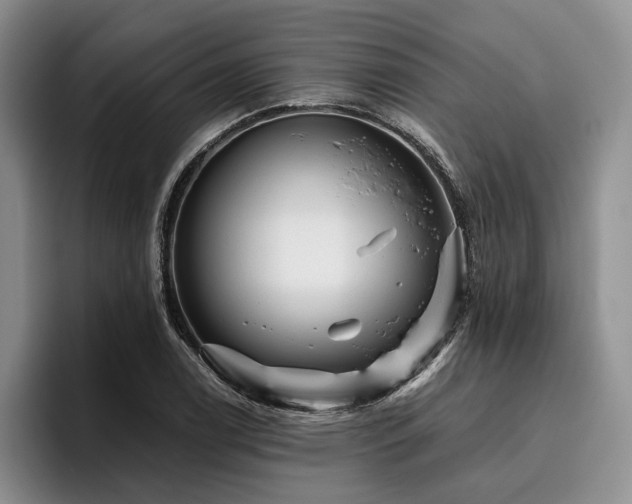 X0000096131122200801181107