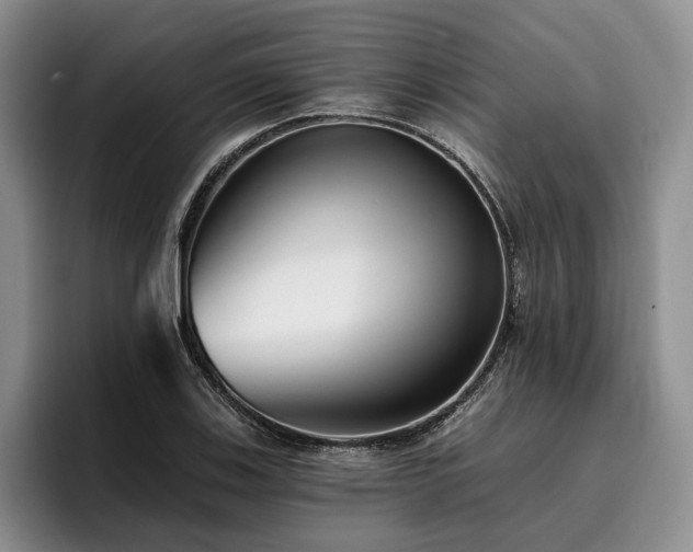 X0000096131123200801181107