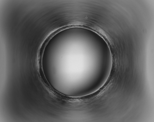 X0000096131124200801181107
