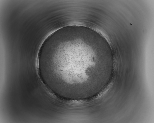 X0000096131125200801181107
