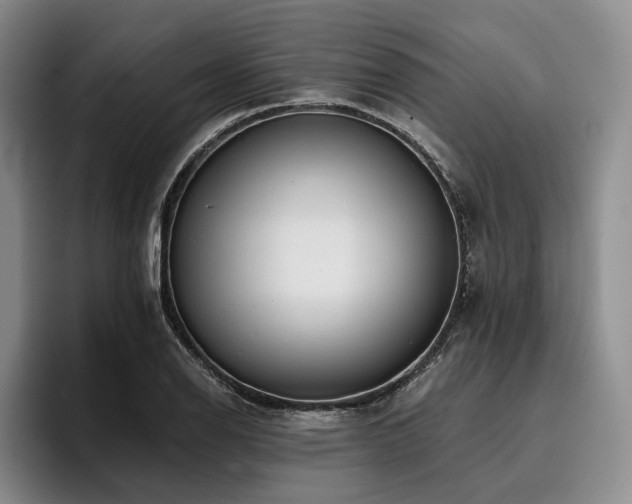 X0000096131126200801181107
