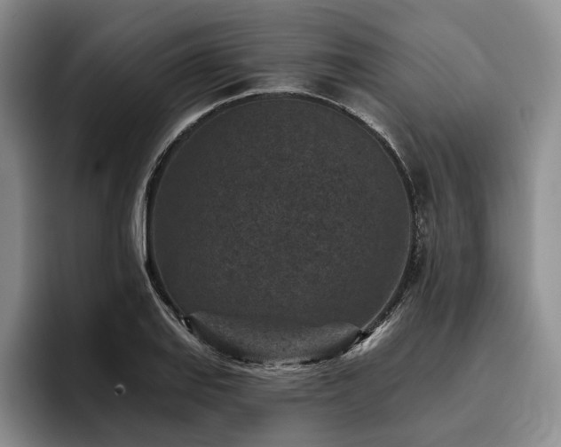 X0000096131127200801181107
