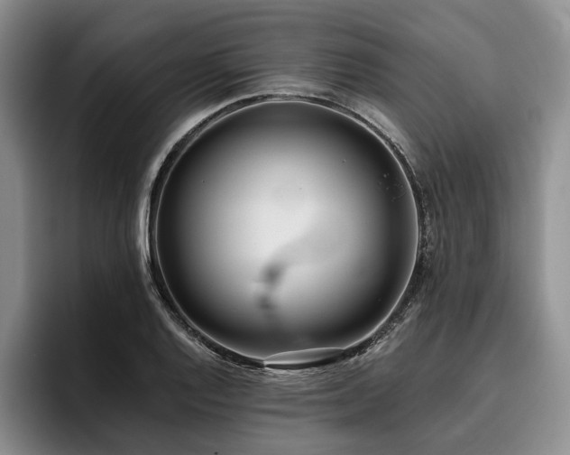 X0000096131128200801181107