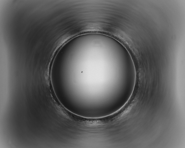 X0000096131129200801181107