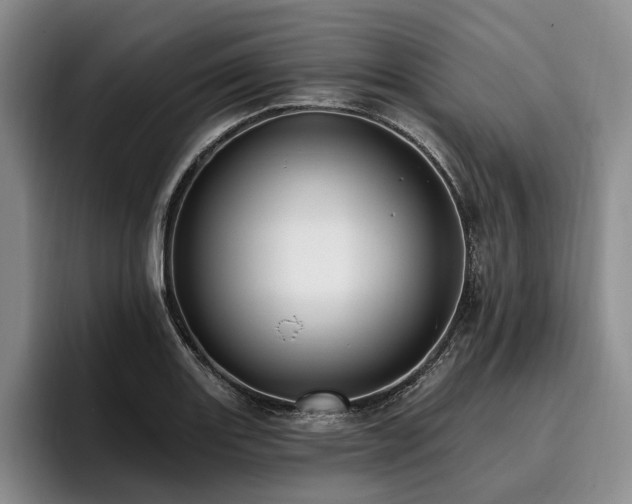 X0000096131131200801181107
