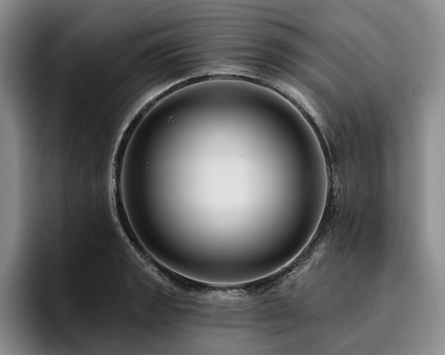 X0000096131133200801181107