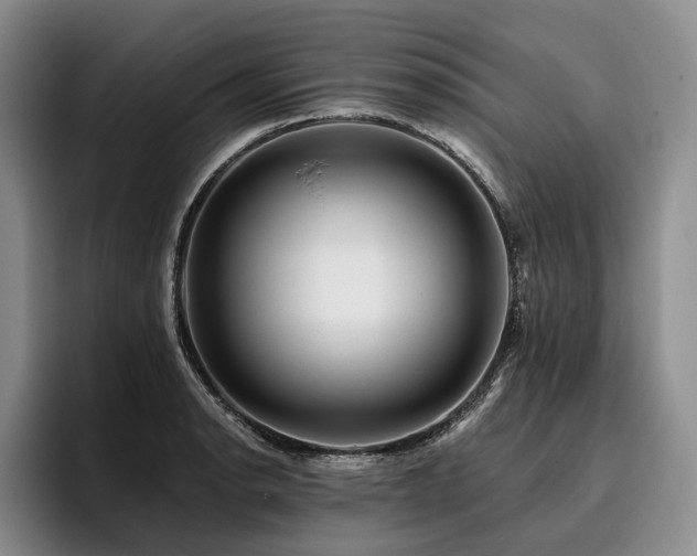 X0000096131134200801181107