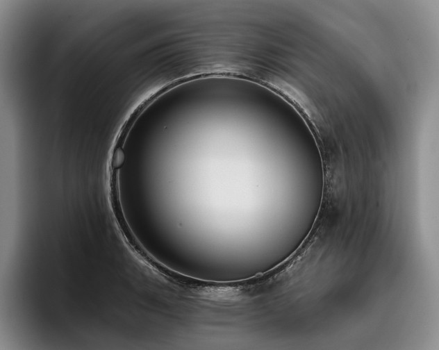 X0000096131135200801181107