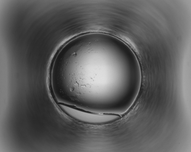 X0000096131136200801181107