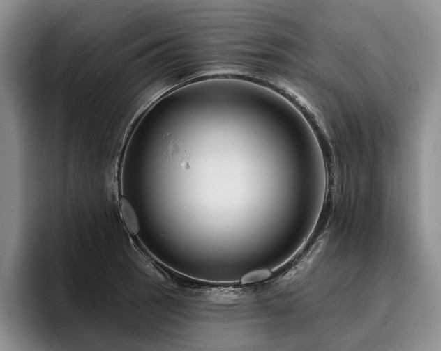 X0000096131137200801181107