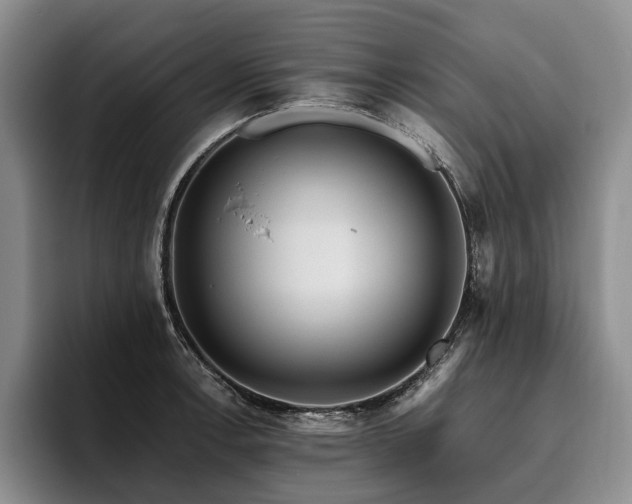 X0000096131138200801181107