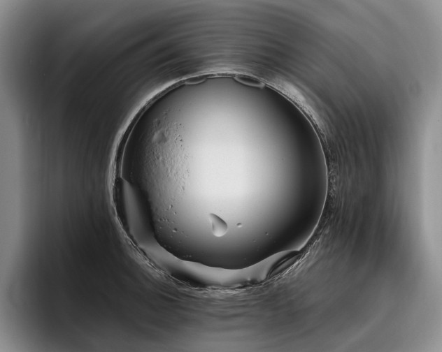 X0000096131140200801181107