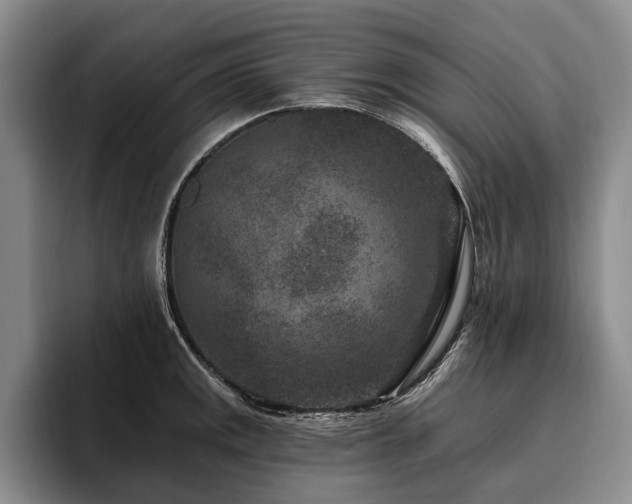 X0000096131141200801181107