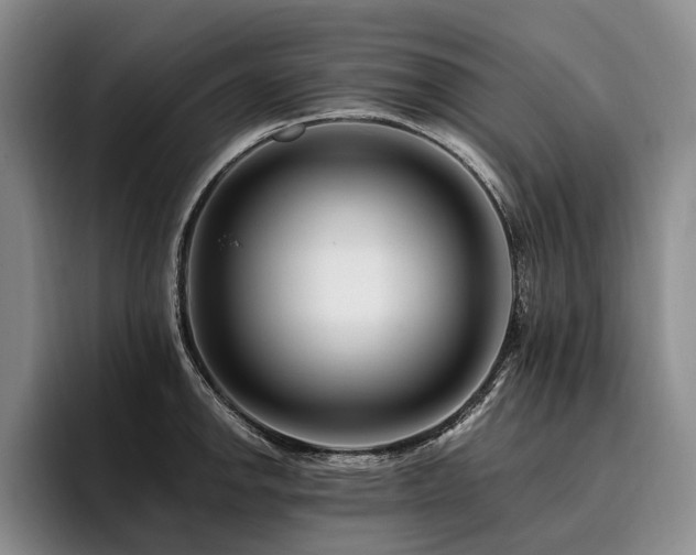 X0000096131142200801181107