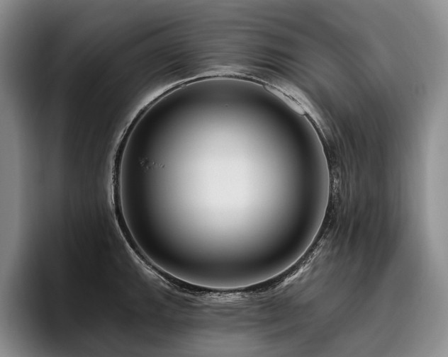 X0000096131143200801181107