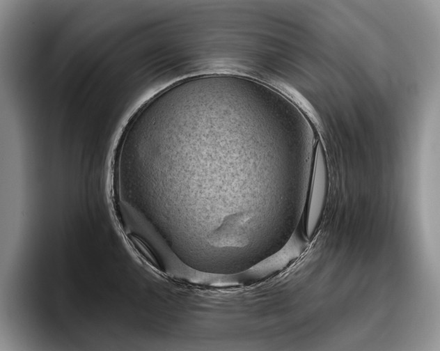 X0000096131144200801181107