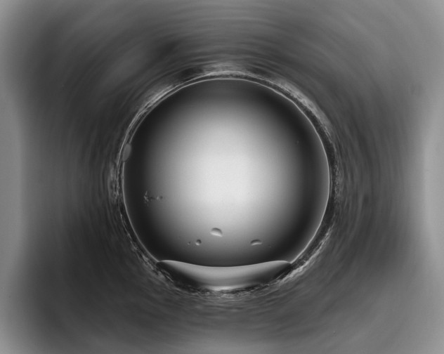 X0000096131145200801181107