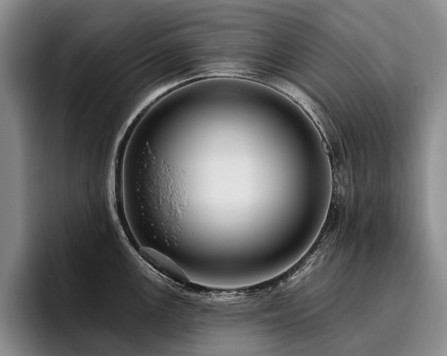 X0000096131147200801181107
