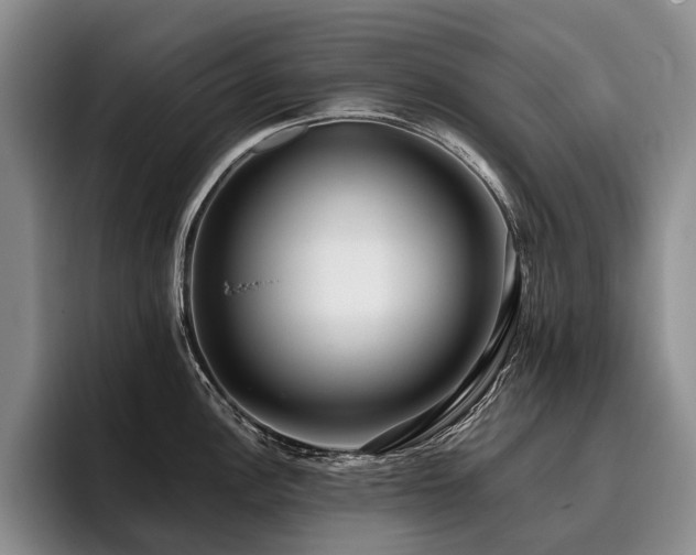 X0000096131148200801181107