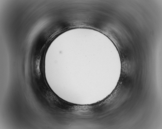 X0000096131150200801181107
