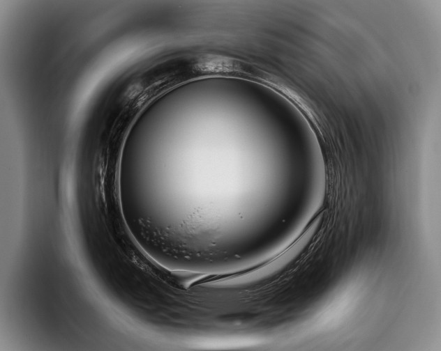 X0000096131151200801181107