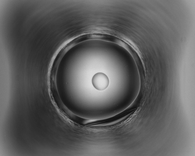 X0000096131152200801181107