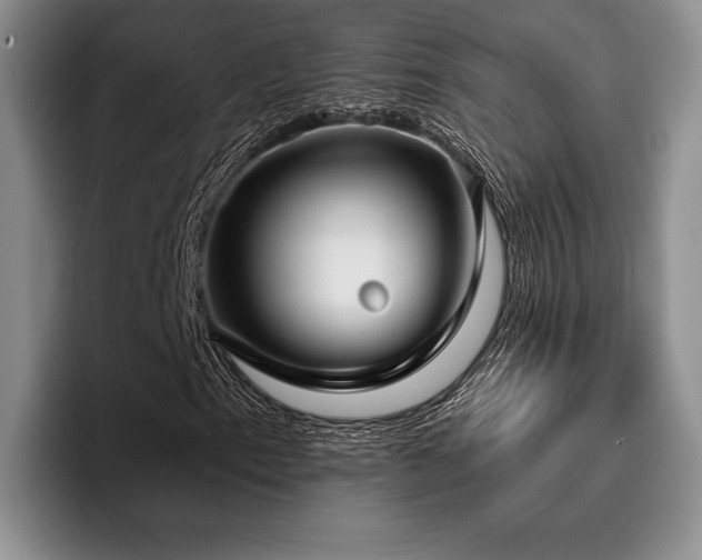 X0000096131153200801181107