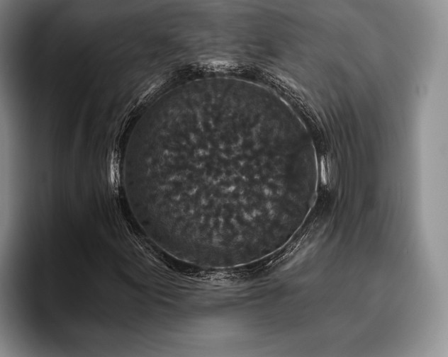 X0000096131155200801181107