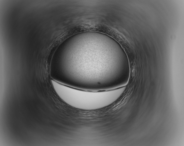 X0000096131156200801181107