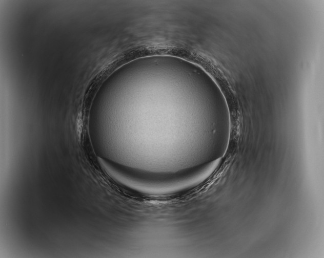 X0000096131157200801181107