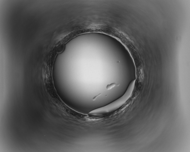 X0000096131158200801181107