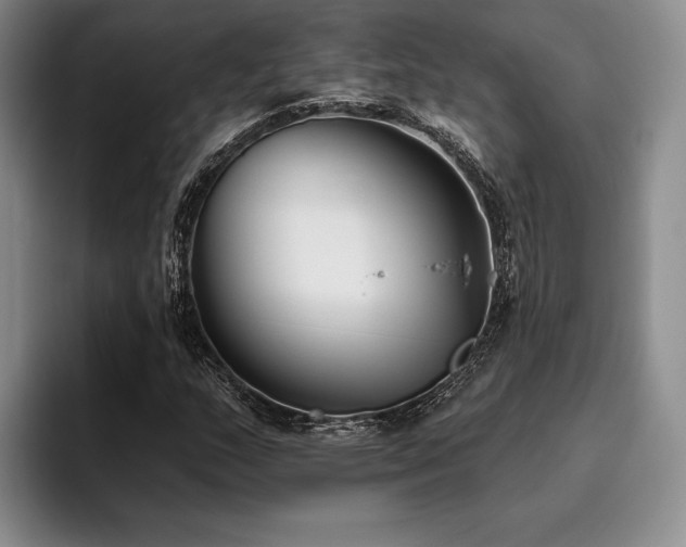 X0000096131159200801181107