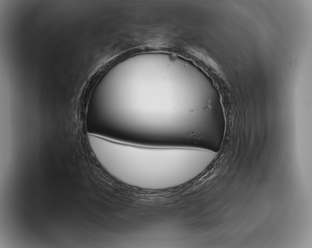 X0000096131160200801181107