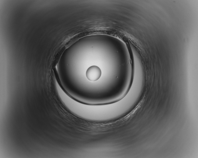 X0000096131161200801181107