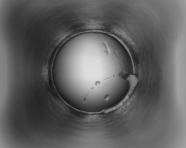 X0000096131162200801181107
